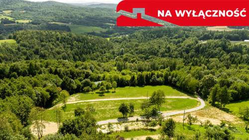 Działka 90 ar z Wz Olszowa, TANIO 
