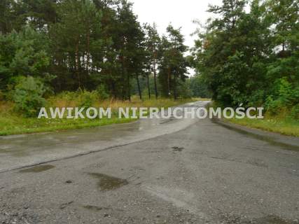 Działka budowlana na sprzedaż, 5561 m2, Skierniewice