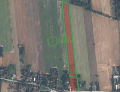 Działka rolna/1,42ha RIIIa RIIIb