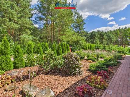Dom pod lasem w Ostrowcu koło Wałcza