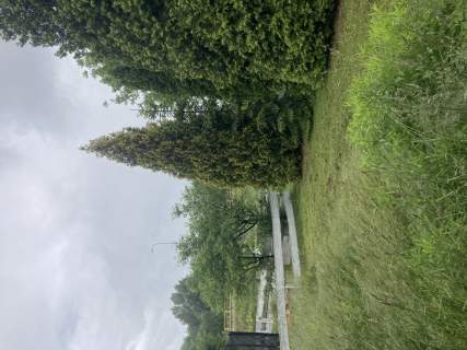 ROD rekreacyjna w Białymstoku ok 300m prywatnie
