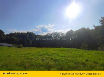 2505 m - Ruptawa - Las i pełna prywatność