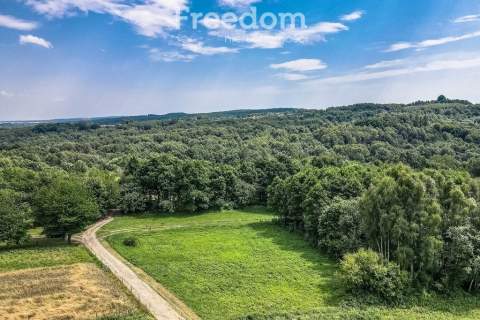 Działka w Kraczkowej, pod lasem, posiadająca WZ
