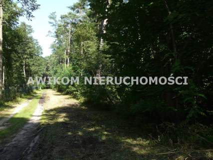 Działka budowlana na sprzedaż, 4020 m2, Olszanka