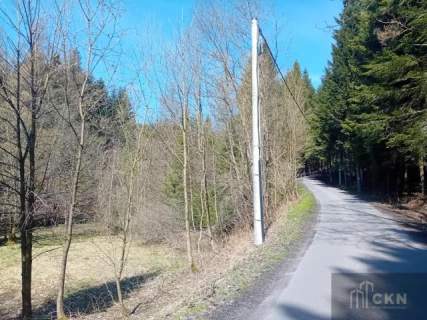 Działki rekreacyjne z potencjałem -pod lasem Zawoja