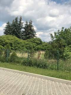 Działka budowlano-inwestycyjna 1523 m ul. Wrocławska