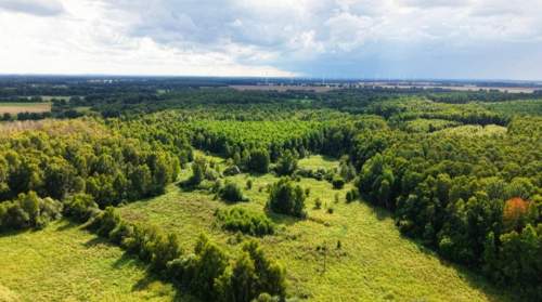 Działka budowlana 1560 m MPZP Sycewice k. Słupska 115 000 zł
