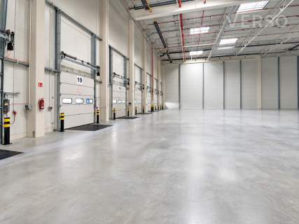 Magazyn/lekka produkcja 4000 sqm. biura 200 mkw.