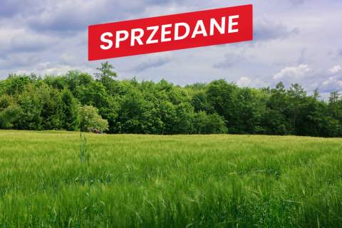 Na sprzedaż działka 79 arów- Domosławice