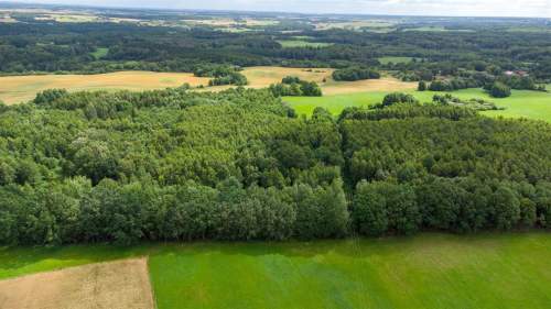 Działka siedliskowa na sprzedaż, 60200 m2, Nowe Mieczysławy