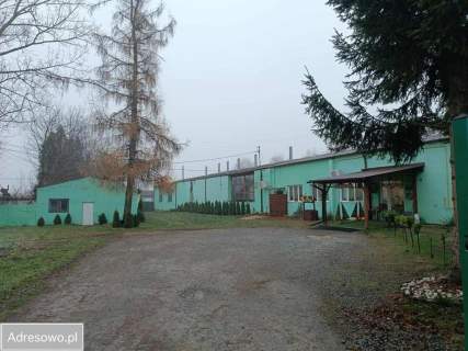 Obiekt na sprzedaż, 2823 m2, Stodoły-Kolonie