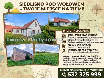 Siedlisko - 1,18 ha działka, Boraszyn, Gmina Wołów