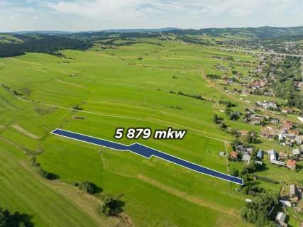 Działka-Sprzedaż-Lasek PL