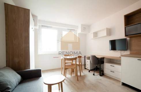 Dwupak inwest 55m2 Centrum StarterIII Dyrekcyjna