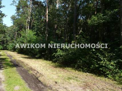 Działka budowlana na sprzedaż, 4020 m2, Olszanka