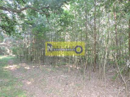 DZIAŁKA NAD ZALEWEM W DOMANIOWIE - BRUDNÓW