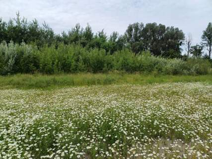 Działka inwestycyjna na sprzedaż, 3000 m2, Malbork