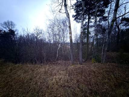 Okazja Duża działka rolna w Borkowie 9802m2