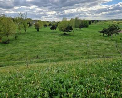 Działki z widokiem na Narew Nowogrodzie
