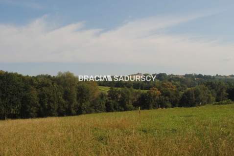 Okazja Do sprzedania duża nieruchomość .