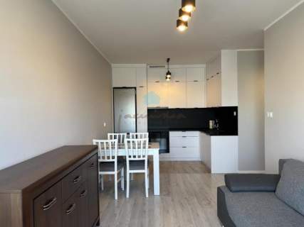 Wynajmę mieszkanie w apartamentowcu Gniezno Żuławy