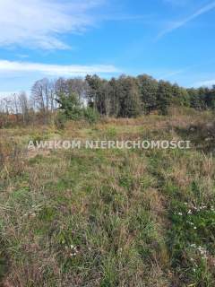 Działka rekreacyjna na sprzedaż, 7997 m2, Szczęsne