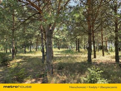 Atrakcyjne, zadrzewione działki budowlane 1127m2