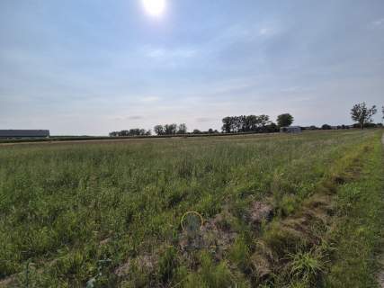 Do sprzedania działka 1246 m2