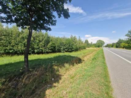 Działka inwestycyjna 1,11ha - Borysławice Zamk. sprzedam lub...