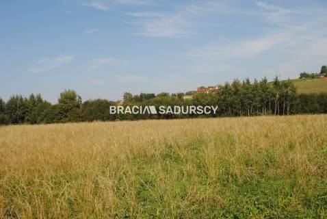 Okazja Do sprzedania duża nieruchomość .