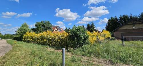 WYJĄTKOWA DZIAŁKA BUDOWLANA 829 m Z WZ