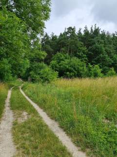 Działka budowlana Oleszno 1,04ha