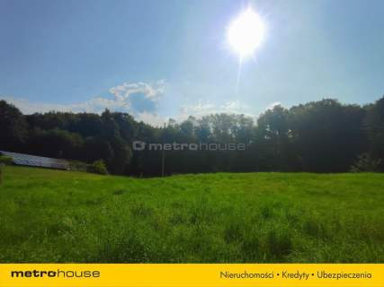 2505 m - Ruptawa - Las i pełna prywatność