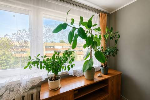 2 POKOJE, BALKON, Podgórze, Płaszów