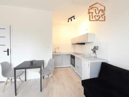 Kawalerka 25 m2, pet-friendly - Kukułek 18