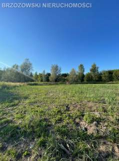 Wawer, Zerzeń, 835 m2, WZ, wolnostojący