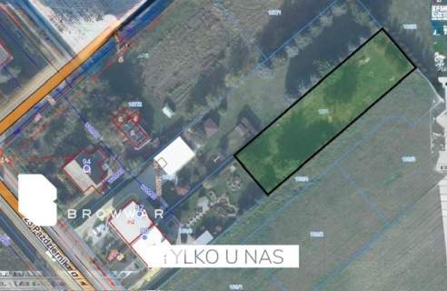 Działka z pięknym ogrodem -Tarnowo Podgórne