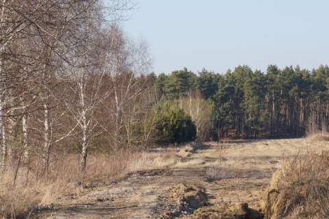 Budowlana 2300m2 reszta rolna