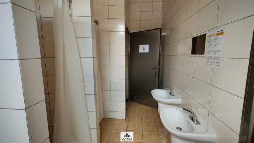 Hala produkcja spożywcza chłodnia wynajem