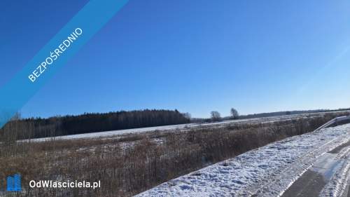 Syndyk sprzeda udziały w prawie własności niezabudowanych ni