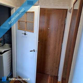 Do wynajęcia mieszkanie 38 m2