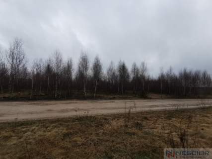 Działka na sprzedaż, 10040 m2, Gręzówka-Kolonia