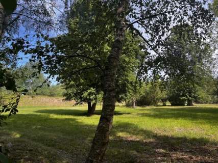 Urokliwa działka 2,54 ha przy Bolimowskim Parku Krajobrazowym