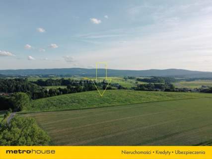 7 hektarów dla dewelopera lub do podziału