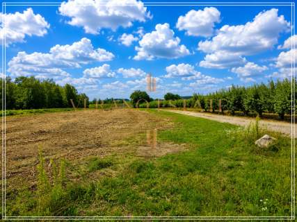 2,28 HA Z POTENCJAŁEM PODZIAŁU BLISKO S8