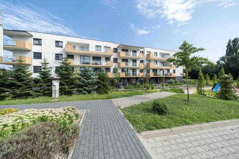 Nowe klimatyzowane 2 pokoje duża loggia Grunwald