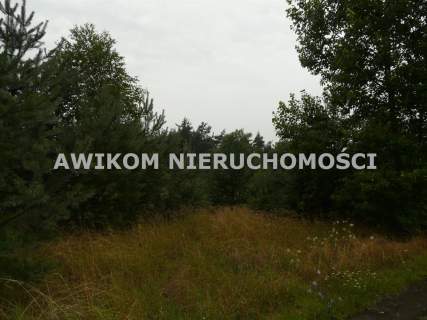 Działka budowlana na sprzedaż, 5561 m2, Skierniewice