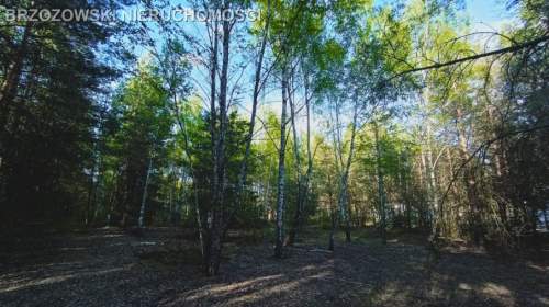 Trzciany, Jabłonna, 1960 m2, MPZP, mieszkaniowa