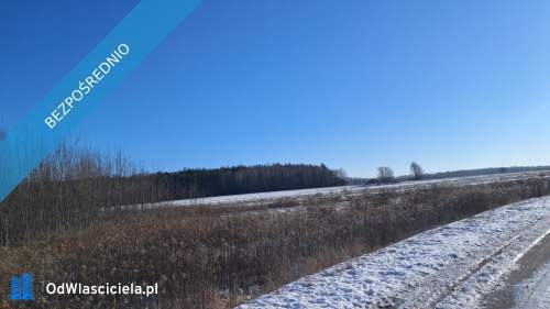 Syndyk sprzeda udziały w prawie własności niezabudowanych ni