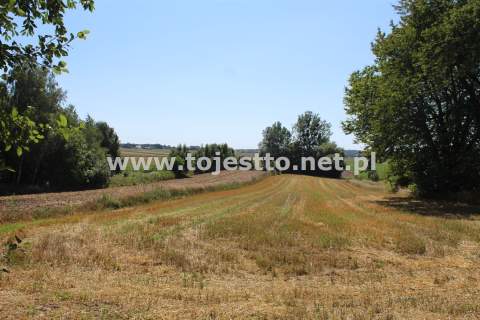 Dom na sprzedaż, 92 m2, Wysokie